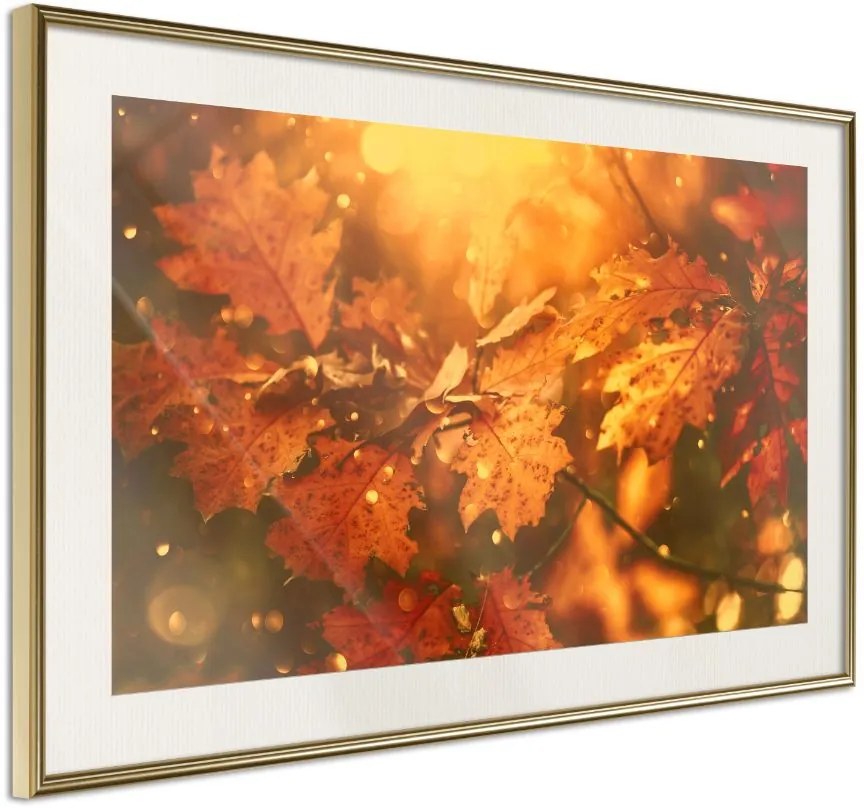 Αφίσα - Golden Autumn - 90x60 - Χρυσό - Με πασπαρτού