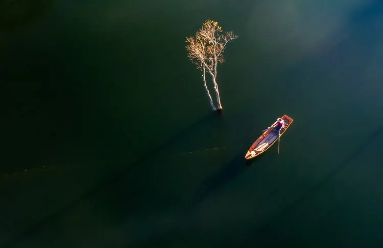 Φωτογραφία New day in Tuyen Lam lake, Nguyen Tan Tuan