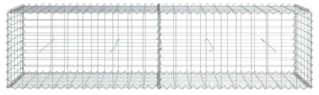 vidaXL Συρματοκιβώτιο με Κάλυμμα 200x50x50 εκ. από Γαλβανισμένο Χάλυβα