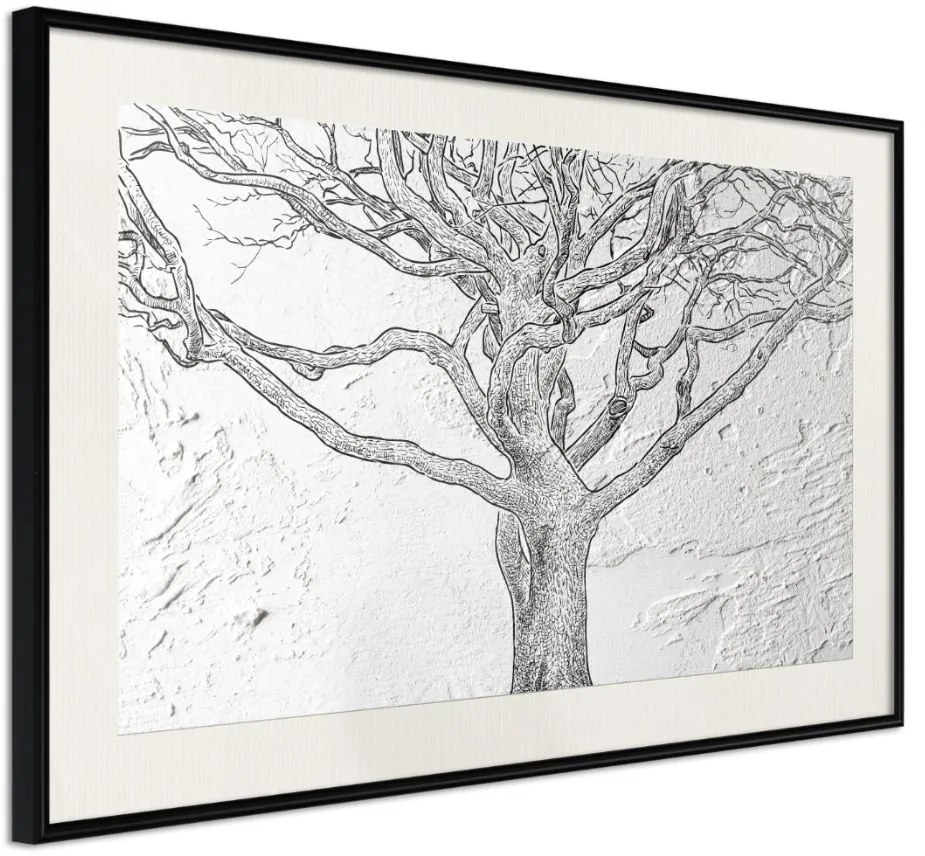 Αφίσα - Tangled Branches - 30x20 - Μαύρο - Με πασπαρτού