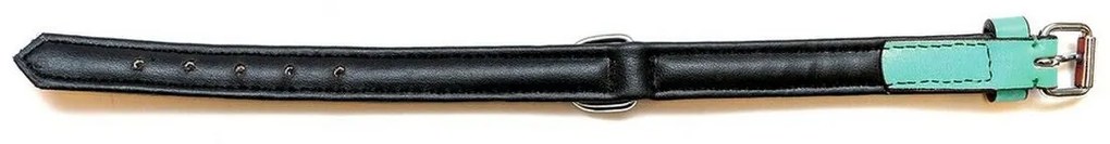 Κολλάρο Σκύλου Gloria Γεμισμένο Πράσινο (55 x 2,5 cm)