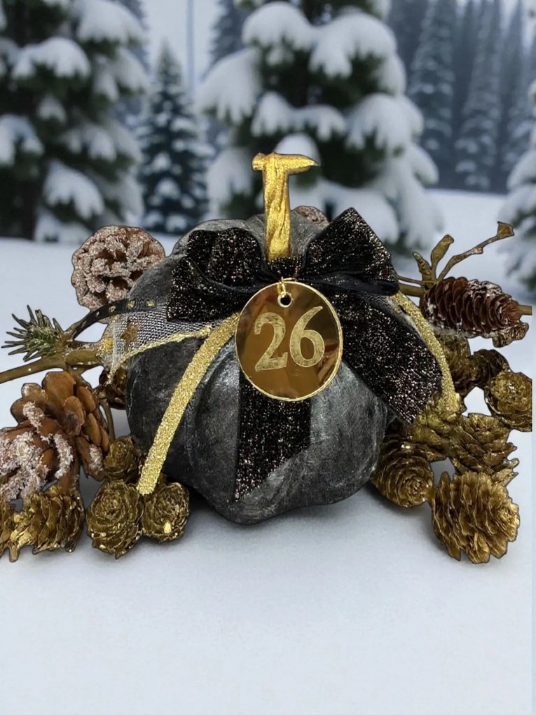 Κολοκύθα Γκρι Ανθρακί βελούδινη μεγάλη - Ασημί