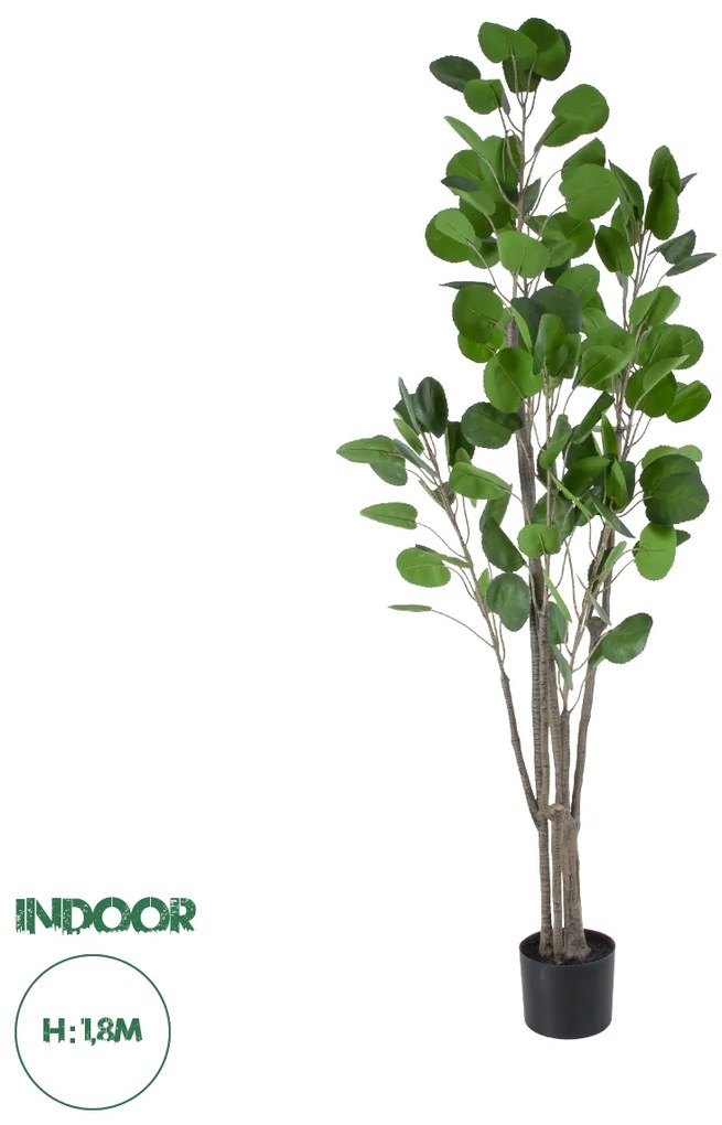 20375 GloboStar®  Artificial Garden POLYSCIAS BALFOURIANA TREE 20375 Τεχνητό Διακοσμητικό Φυτό Πολυσκιά Υ180cm