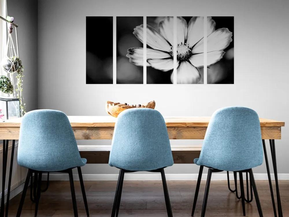 Λουλούδι κήπου 5 τμημάτων εικόνας σε μαύρο & άσπρο - 200x100