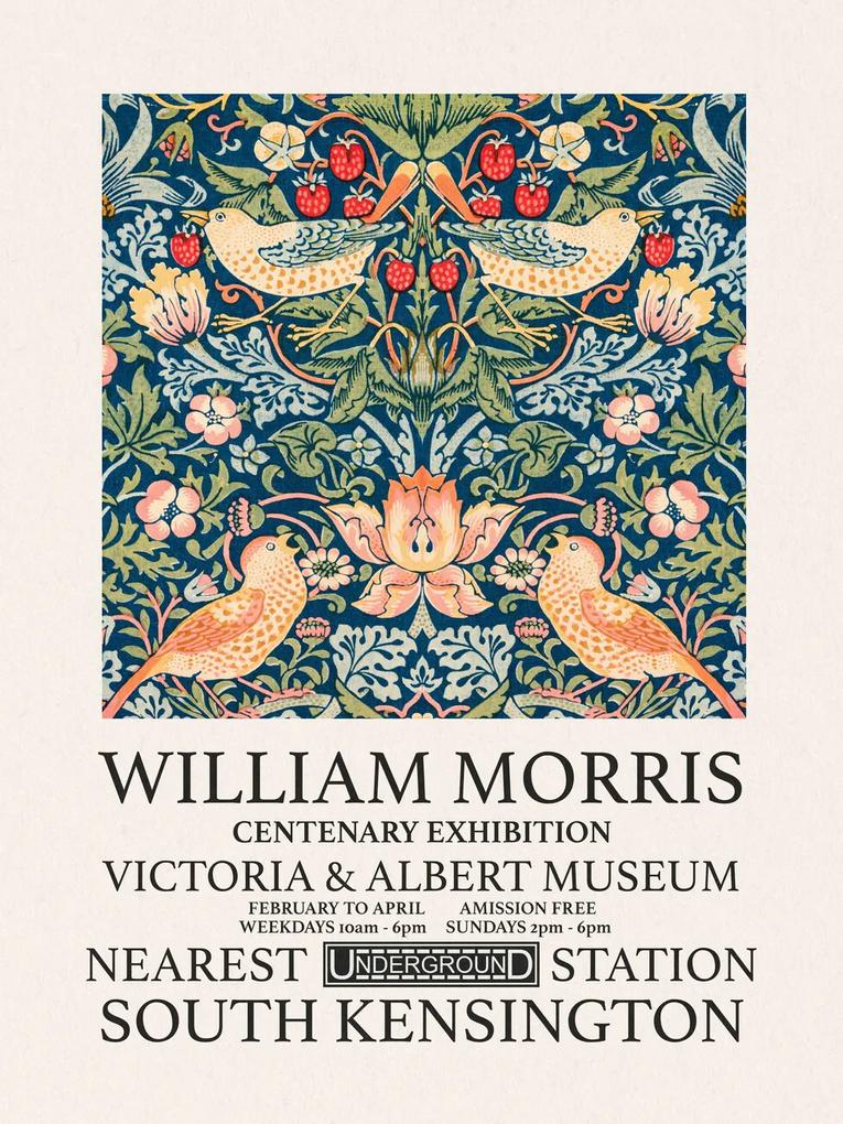 Εκτύπωση έργου τέχνης Strawberry Thief (Special Edition) - William Morris, (30 x 40 cm)
