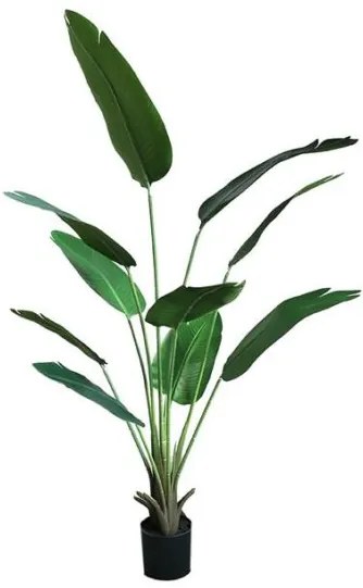New plan BANANA TREE NP1411_160 ΥΨΟΣ 160cm Τεμαχιο