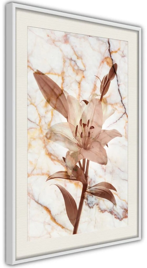 Αφίσα - Lily on Marble Background - 20x30 - Μαύρο - Χωρίς πασπαρτού