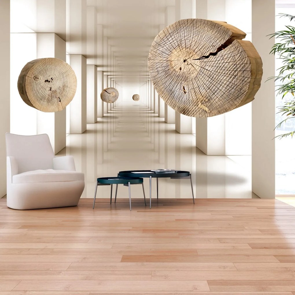 Φωτοταπετσαρία - Flying Discs of Wood 250x175