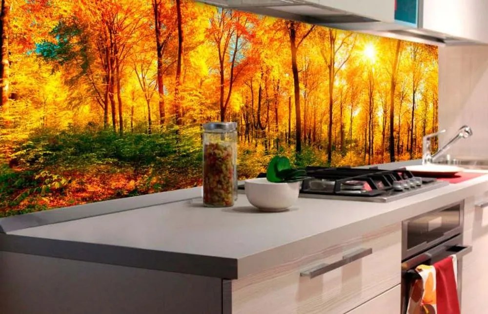 Αυτοκόλλητη φωτοταπετσαρία για κουζίνα ηλιόλουστο δάσος - 260x60