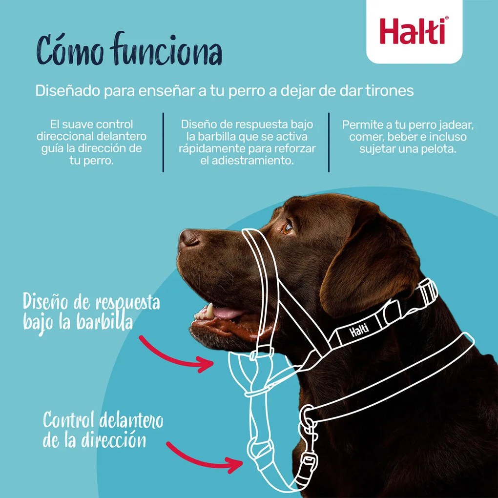 Ρύγχος Company of Animals COBALT Μπλε Μέγεθος 1