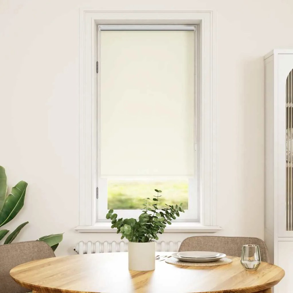 vidaXL Στόρι Συσκότισης Ρόλερ Υπόλευκο 60 x 120 εκ.