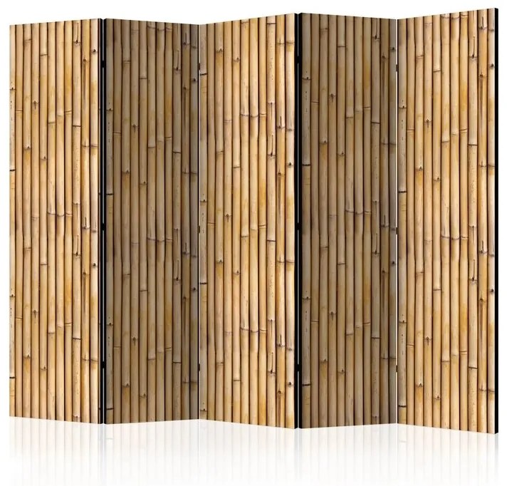 Διαχωριστικό με 5 τμήματα - Amazonian Wall II [Room Dividers]