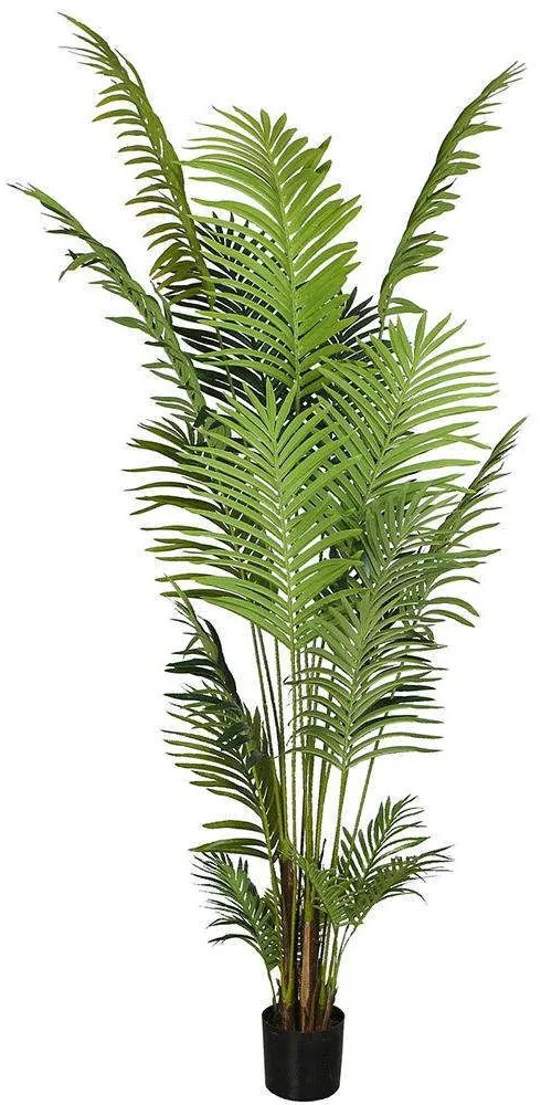 Τεχνητό Δέντρο Αρέκα 9630-6 100x100x260cm Green Supergreens Polyethylene