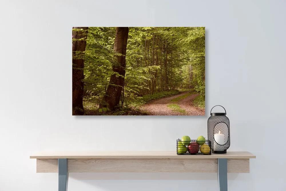 Εικόνα πράσινο δάσος - 90x60