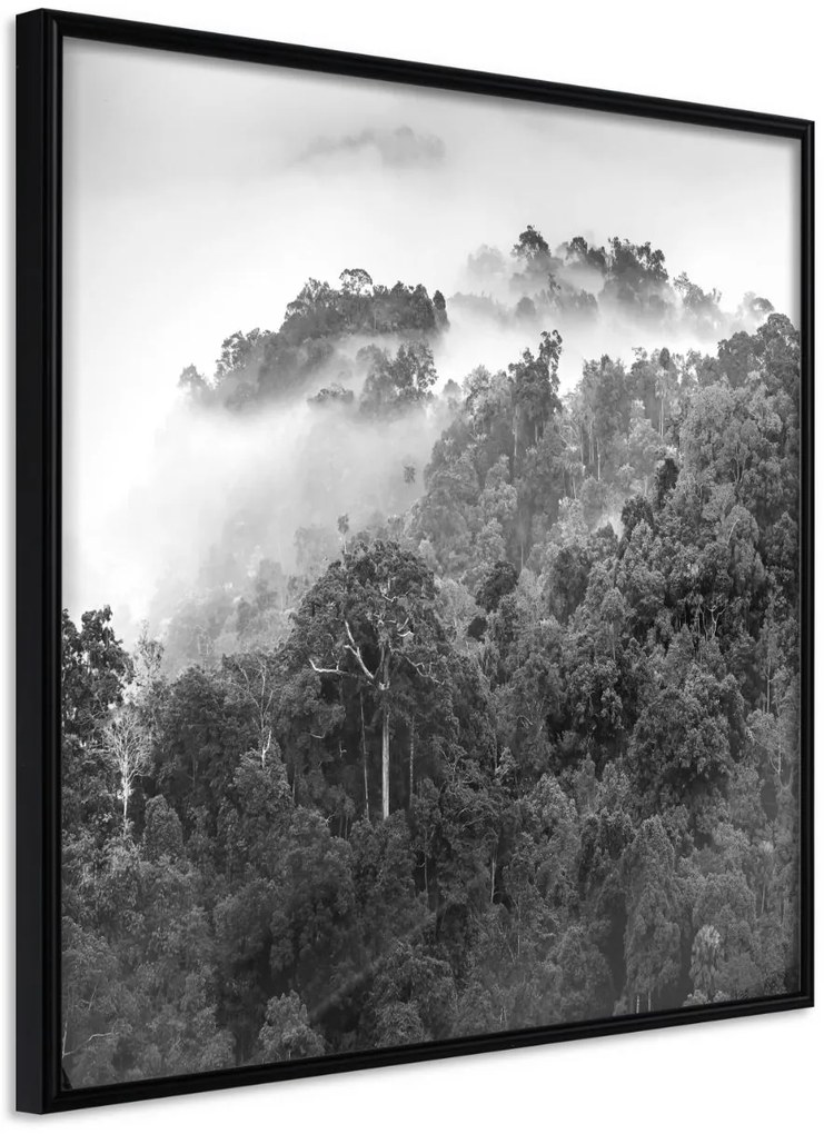 Αφίσα - Foggy Forest - 50x50 - Μαύρο - Χωρίς πασπαρτού