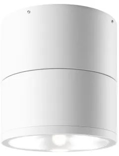 Σποτ Φωτιστικό Οροφής LED 12W Κινητό IP54 Spin Maytoni O310CL-L12W3K Λευκό