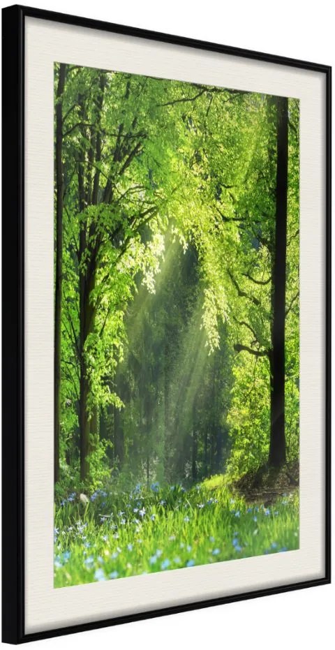 Αφίσα - Forest Path - 20x30 - Μαύρο - Με πασπαρτού