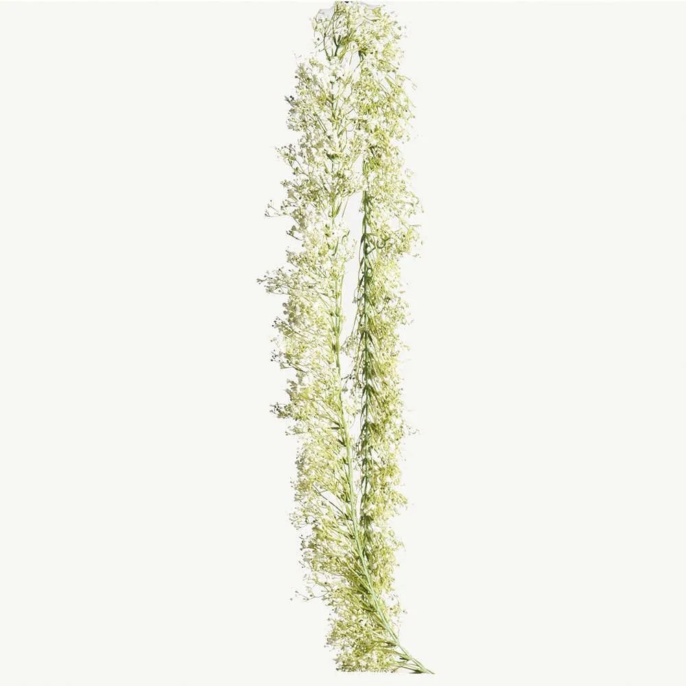 Γιρλάντα Γυψοφύλλη 3210-7 180cm White Supergreens Polyethylene