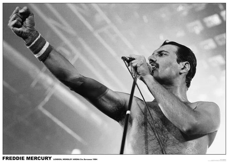 Αφίσα Freddie Mercury - Wembley 1984, (84.1 x 59.4 cm)
