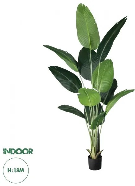 Artificial Garden STRELITZIA 20026 Τεχνητό Διακοσμητικό Φυτό Στρελίτσια - Πουλί του Παραδείσου Υ180cm  Globostar 20026 Πράσινο