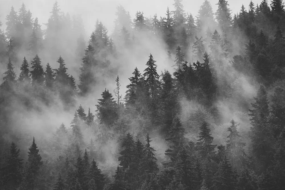 Εικόνα βουνών στην ομίχλη σε μαύρο & άσπρο