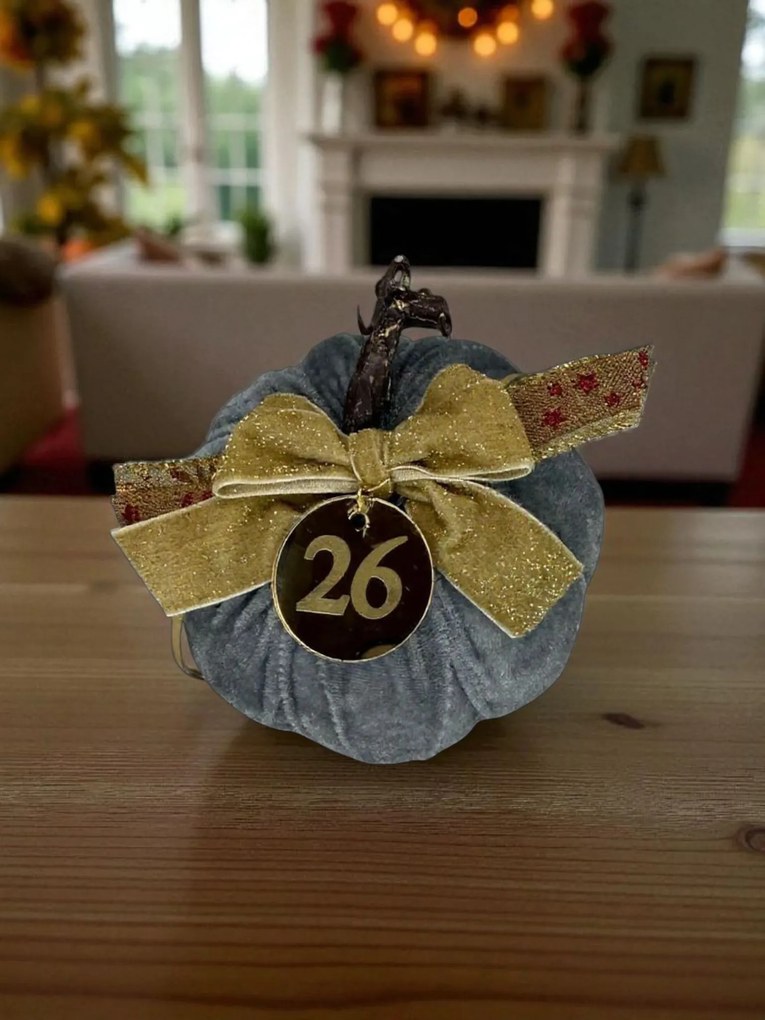 Κολοκύθα Γκρι βελούδινη μεγάλη - Ασημί