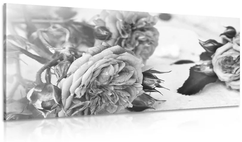 Εικόνα ανθισμένων τριαντάφυλλων σε μαύρο & άσπρο