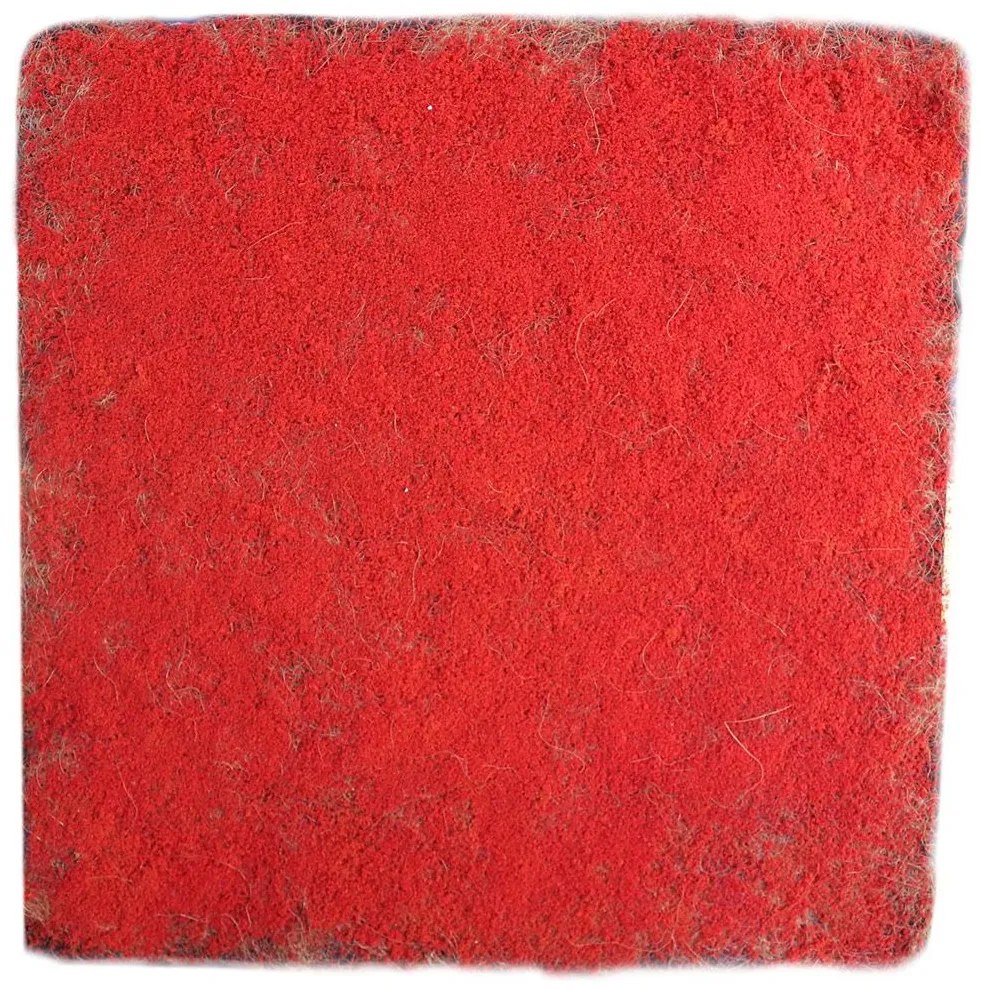 Τεχνητή Φυλλωσιά Moss 4971-7 100x100cm Red Supergreens 100X100