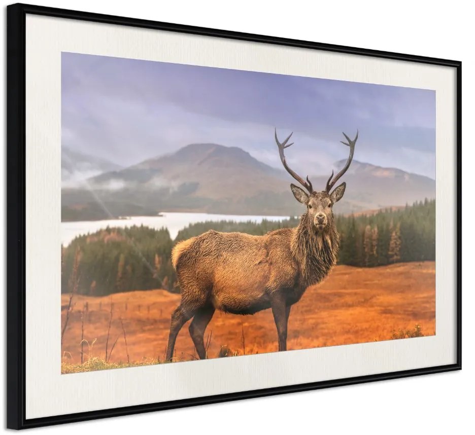 Αφίσα - Majestic Deer - 30x20 - Μαύρο - Με πασπαρτού