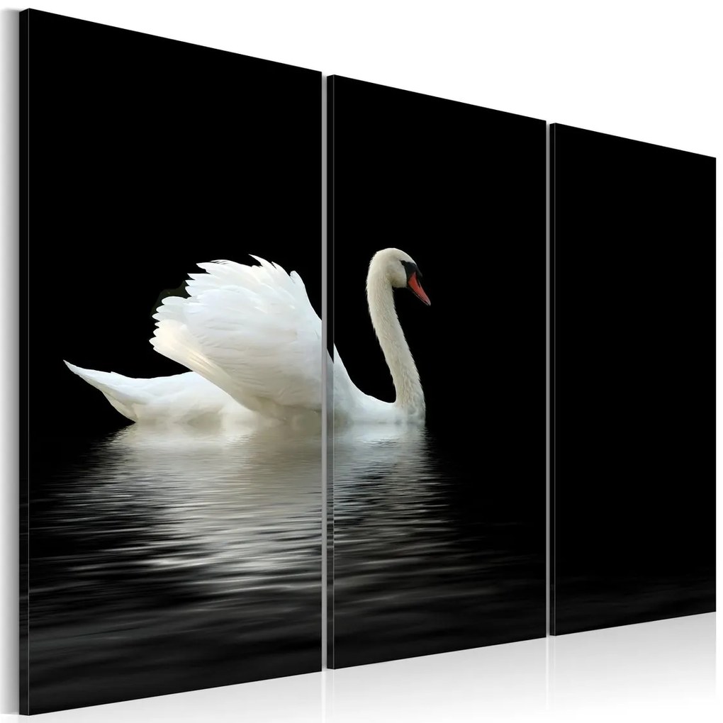 Πίνακας - A lonely white swan - 60x40