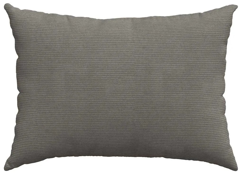 vidaXL Μαξιλάρι Καναπέ 2 pcs Ανοιχτό γκρι 70 x 50 cm