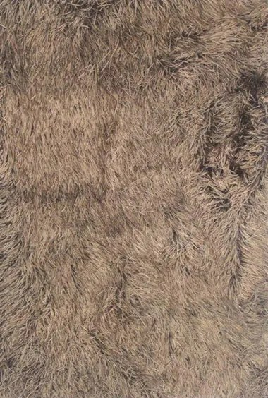 Χαλί SHAGGY FLATO BROWN &#8211; 160×230 cm 160X230 BROWN