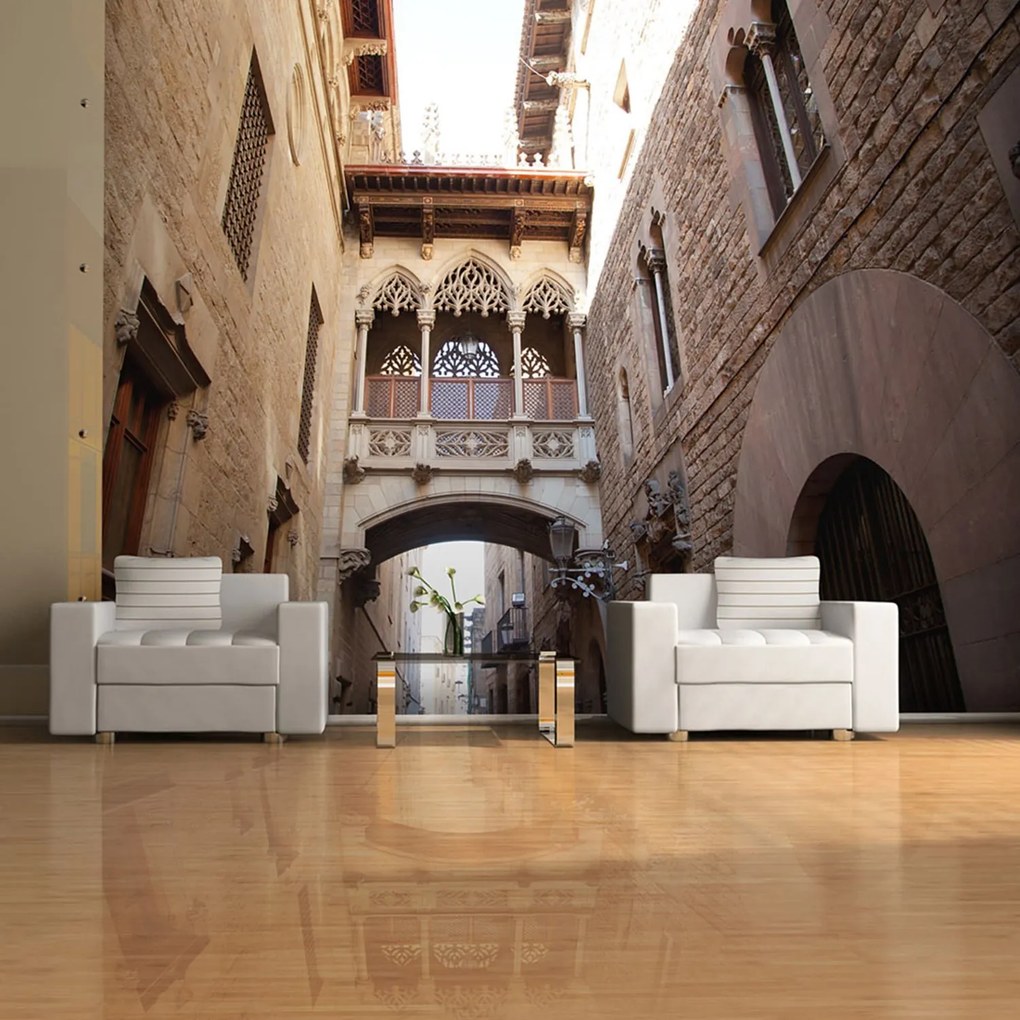 Φωτοταπετσαρία - Barcelona Palau generalitat in gothic Barrio 400x309