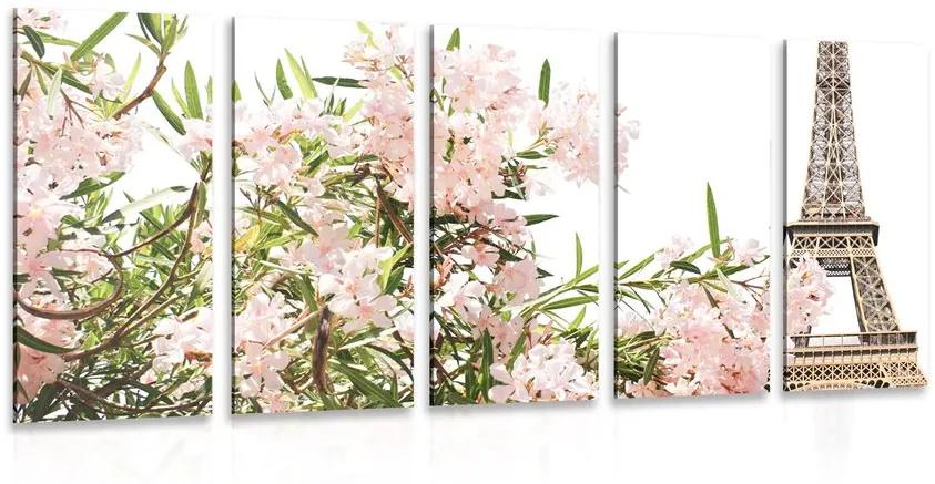 Εικόνα 5 τμημάτων Πύργος του Άιφελ και ροζ λουλούδια