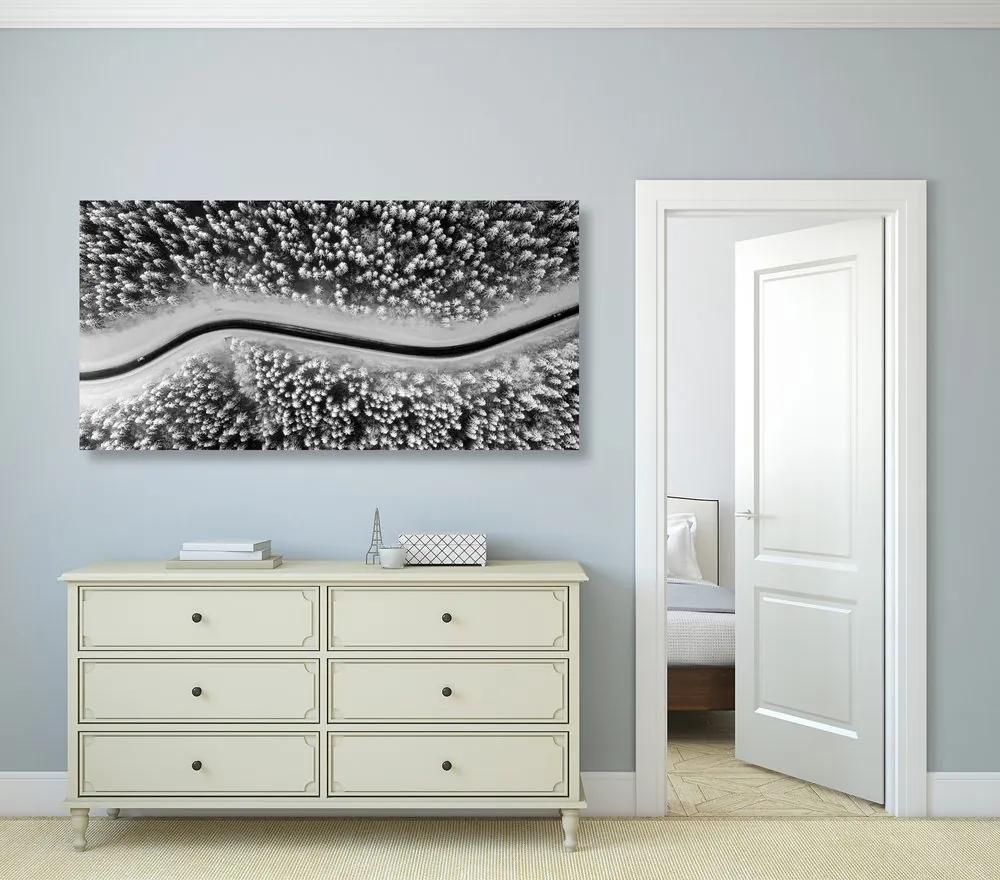 Άποψη εικόνας χειμερινού τοπίου σε μαύρο & άσπρο - 100x50