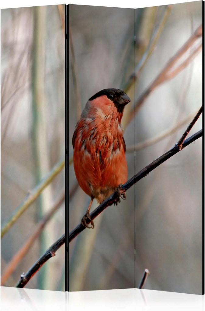 Διαχωριστικό με 3 τμήματα - Bullfinch in the forest [Room Dividers]