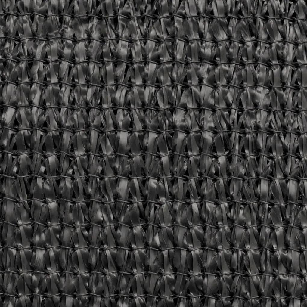 Διαχωριστικό Βεράντας Ανθρακί 75 x 600 εκ. από HDPE - Ανθρακί