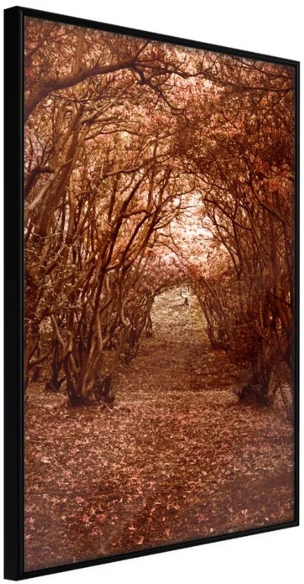 Αφίσα - Quiet Path - 40x60 - Μαύρο - Χωρίς πασπαρτού