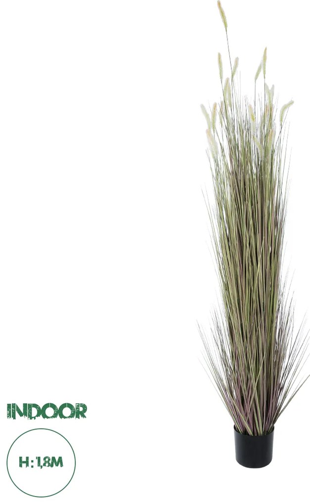 21104 GloboStar® Artificial Garden BEIGE LAGURUS 21104 Διακοσμητικό Φυτό Μπεζ Λαγοουρά Υ180cm