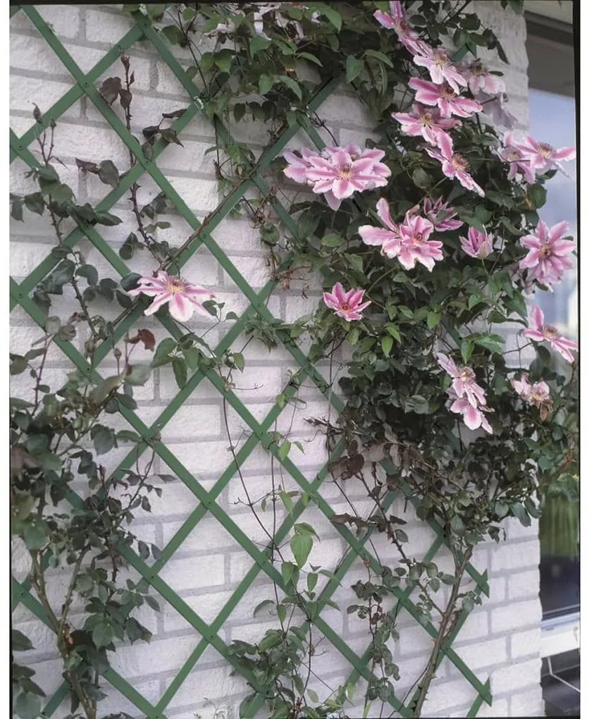 Nature Καφασωτό Κήπου Πράσινο 100 x 200 εκ. από PVC 6040704 - Πράσινο