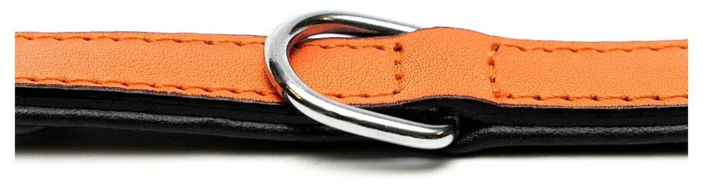 Κολλάρο Σκύλου Gloria Γεμισμένο Πορτοκαλί (55 x 2,5 cm)