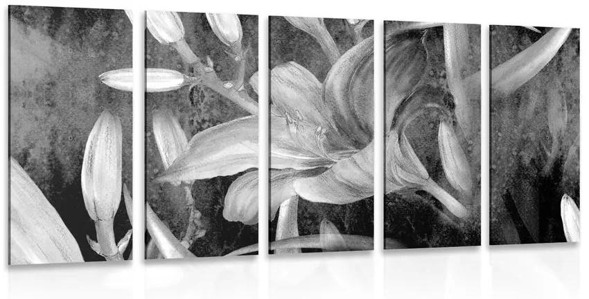 Εικόνα λουλουδιού κρίνος 5 μερών σε μαύρο & άσπρο