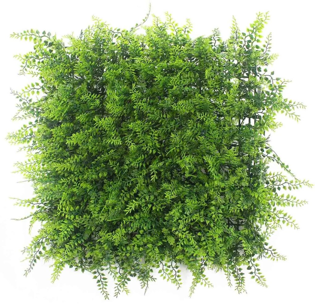 Supergreens Τεχνητή Φυλλωσιά Φτέρη Adiantum Capillus 50x50 εκ.