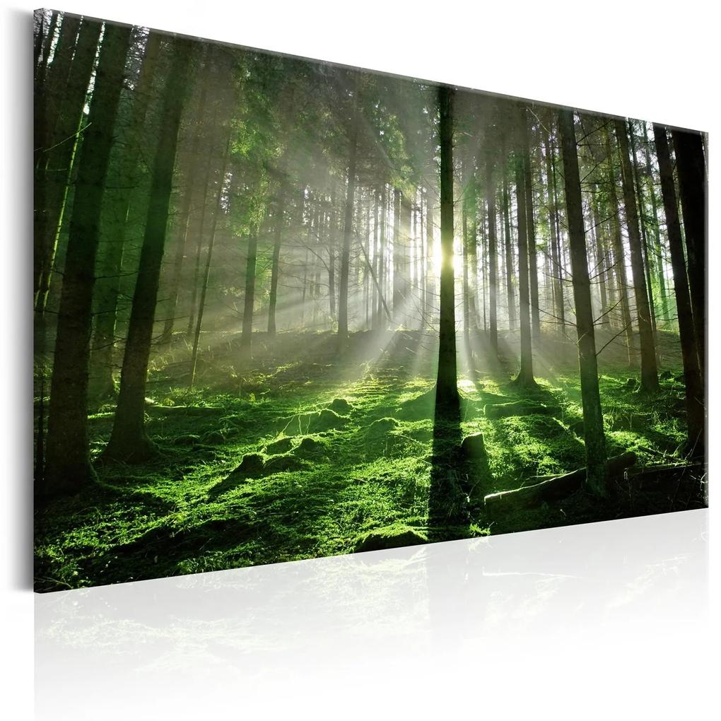 Πίνακας - Emerald Forest II 90x60