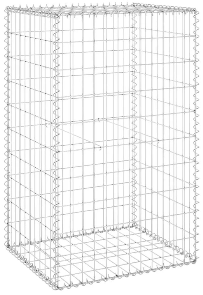vidaXL Συρματοκιβώτιο Τοίχος 60x50x100 εκ. Γαλβαν. Χάλυβας + Καλύμματα
