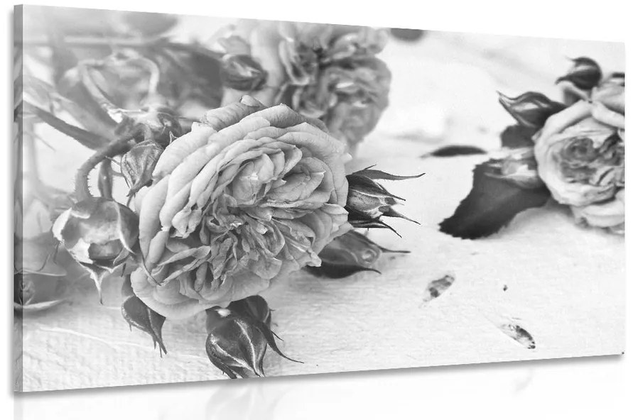 Εικόνα ενός ανθισμένου τριαντάφυλλου σε μαύρο & άσπρο
