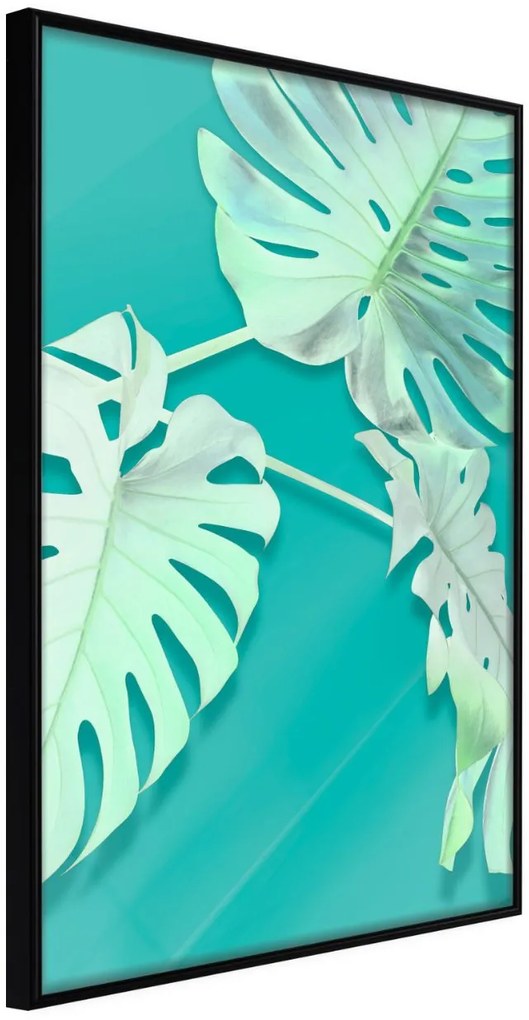 Αφίσα - Teal Monstera - 40x60 - Μαύρο - Χωρίς πασπαρτού