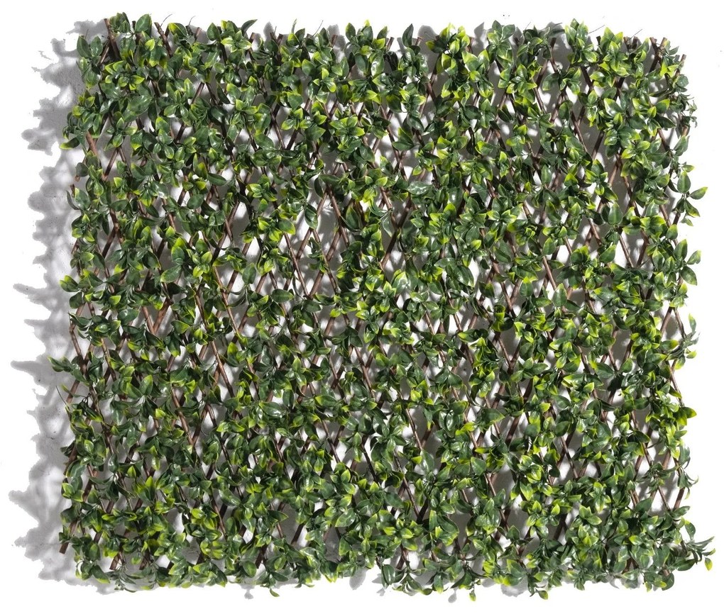 Supergreens Τεχνητή Φυλλωσιά Πτυσσόμενη Σεφλέρα Arboricola 100x200 εκ
