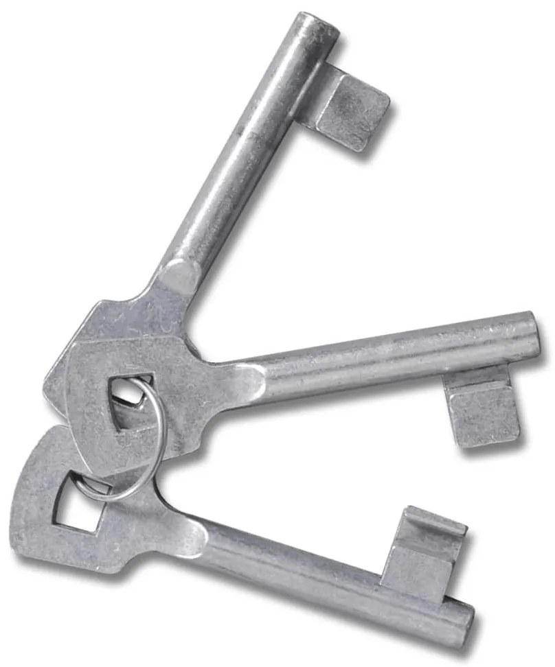 vidaXL Πόρτα Κήπου με Πλέγμα και Πλέγμα 300 x 200 εκ.