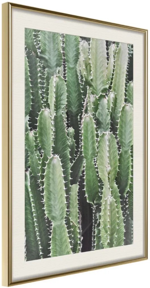 Αφίσα - Cactus Plantation - 20x30 - Χρυσό - Με πασπαρτού